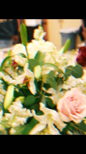 Video post by @trinarockstarr on Instagram