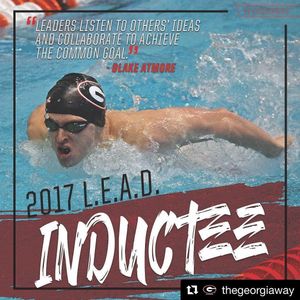 Image post by @ugaswimdive on Instagram