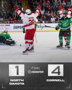 Image post by @everythingcollegehockey on Instagram