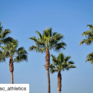 Image post by @uscwomenstennis on Instagram