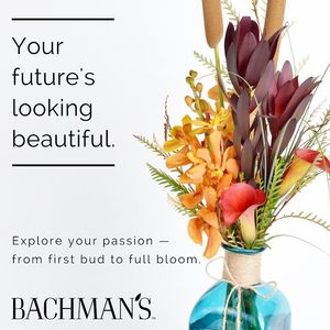 Image post by @shopbachmans on Instagram