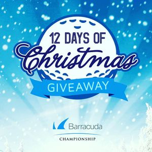 Image post by @barracudachampionship on Instagram