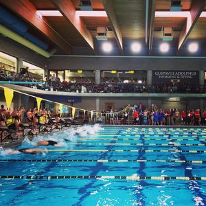 Image post by @gustieswimdive on Instagram