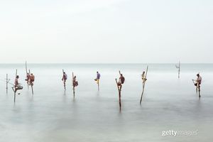 Image post by @gettyimages on Instagram