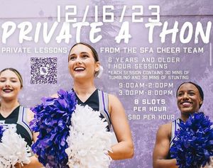 Image post by @sfa_cheer_ on Instagram