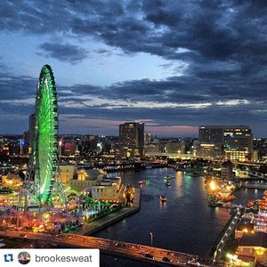 Image post by @fgcu_vb on Instagram