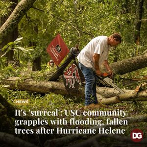 Image post by @dailygamecock on Instagram