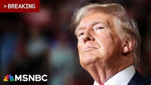 Video post by @msnbc on YouTube