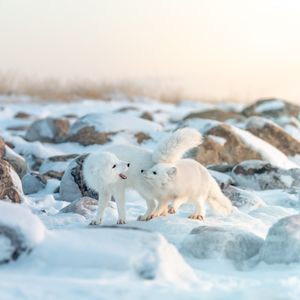 Image post by @discovery on Instagram