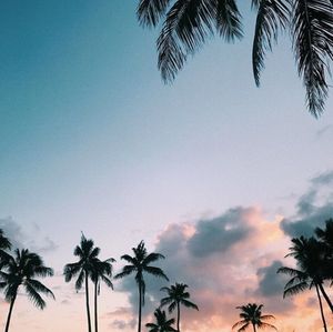 Image post by @olukai on Instagram