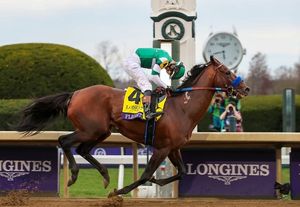 Image post by @breederscup on Instagram