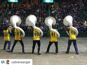 Image post by @gmugreenmachine on Instagram