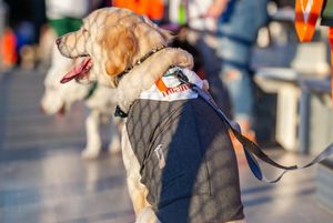 Image post by @univmiami on Instagram