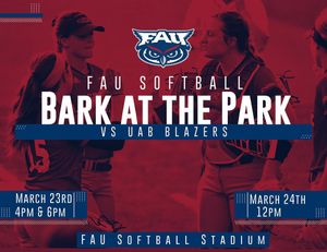 Image post by @fausoftball on Instagram