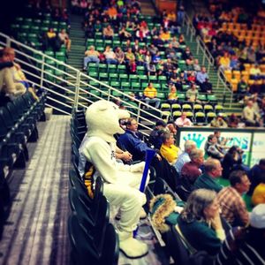 Image post by @gmugreenmachine on Instagram