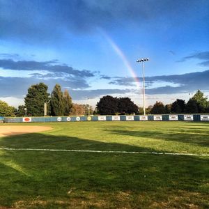 Image post by @hofstrasoftball on Instagram
