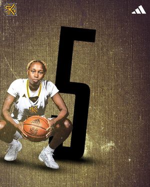 Image post by @ksuowlswbb on Instagram