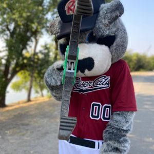 Image post by @rivercats on Instagram
