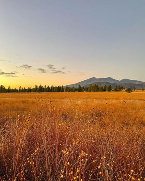 Image post by @nauflagstaff on Instagram