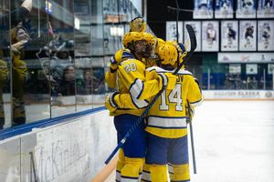 Image post by @nanookshockey on Instagram