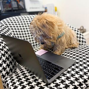 Image post by @thr33fold on Instagram