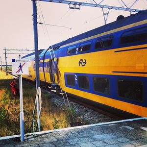 Image post by @bagoftrix on Instagram