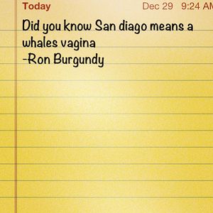 Image post by @scoutmason3 on Instagram
