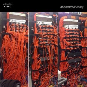 Image post by @cisco on Instagram