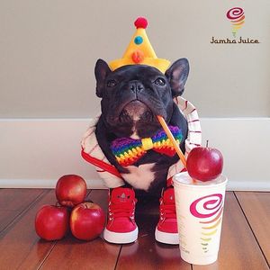 Image post by @jambajuice on Instagram