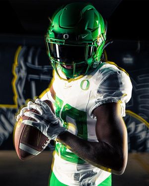 Image post by @goducks on Instagram