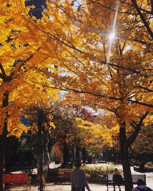 Image post by @iowaadmissions on Instagram