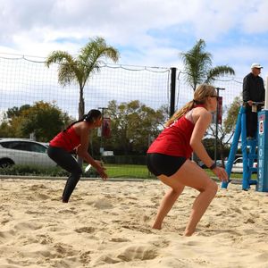 Image post by @lmulionsbeach on Instagram