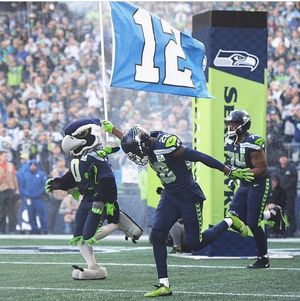 Image post by @blitztheseahawk on Instagram
