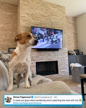 Image post by @indycaronnbc on Instagram