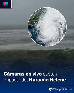Image post by @univision23 on Instagram