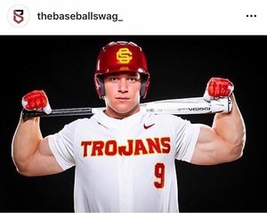 Image post by @duluthhuskies on Instagram