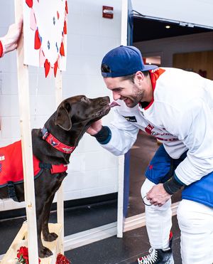 Image post by @capitals on Instagram