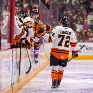 Image post by @fwkomets on Instagram