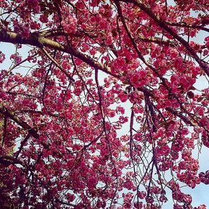 Image post by @hofstrau on Instagram