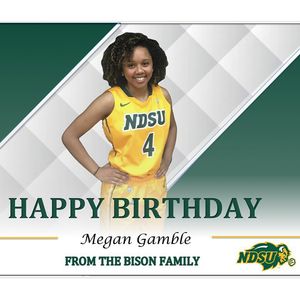 Image post by @ndsuwbb on Instagram