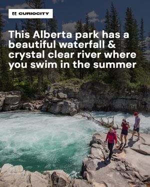 Image post by @curiocitycalgary on Instagram