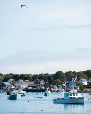 Image post by @themainemag on Instagram