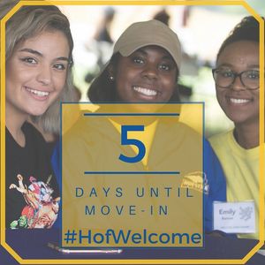 Image post by @hofstrau on Instagram