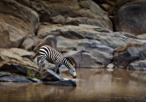 Image post by @natgeo on Instagram