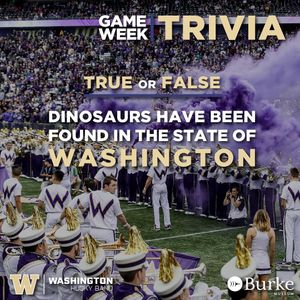 Image post by @huskyband on Instagram