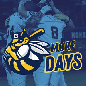 Image post by @burlington_bees on Instagram