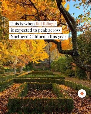 Image post by @secret_sanfrancisco on Instagram