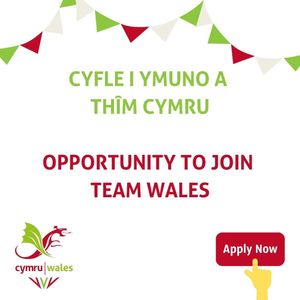 Image post by @team_wales on Instagram