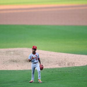 Image post by @mlb.mini on Instagram