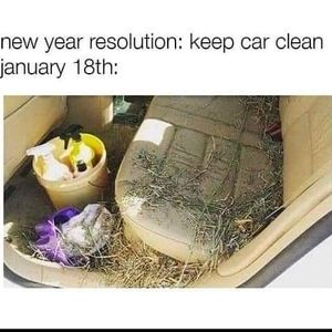 Image post by @equine_passion_online on Instagram